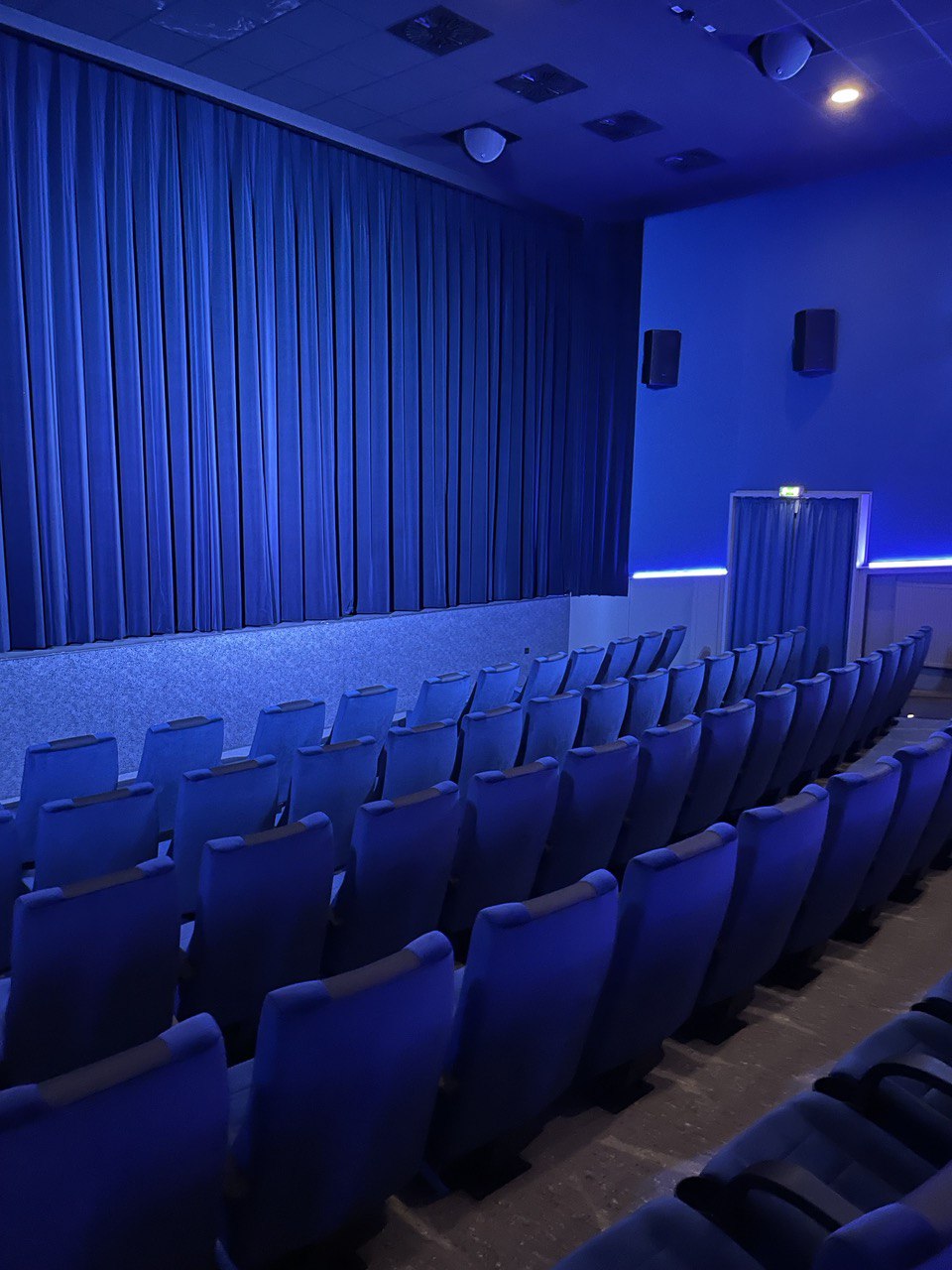 Englischunterricht im Kinosaal: Die Q1 und Q2 zu Besuch in „Avatar“