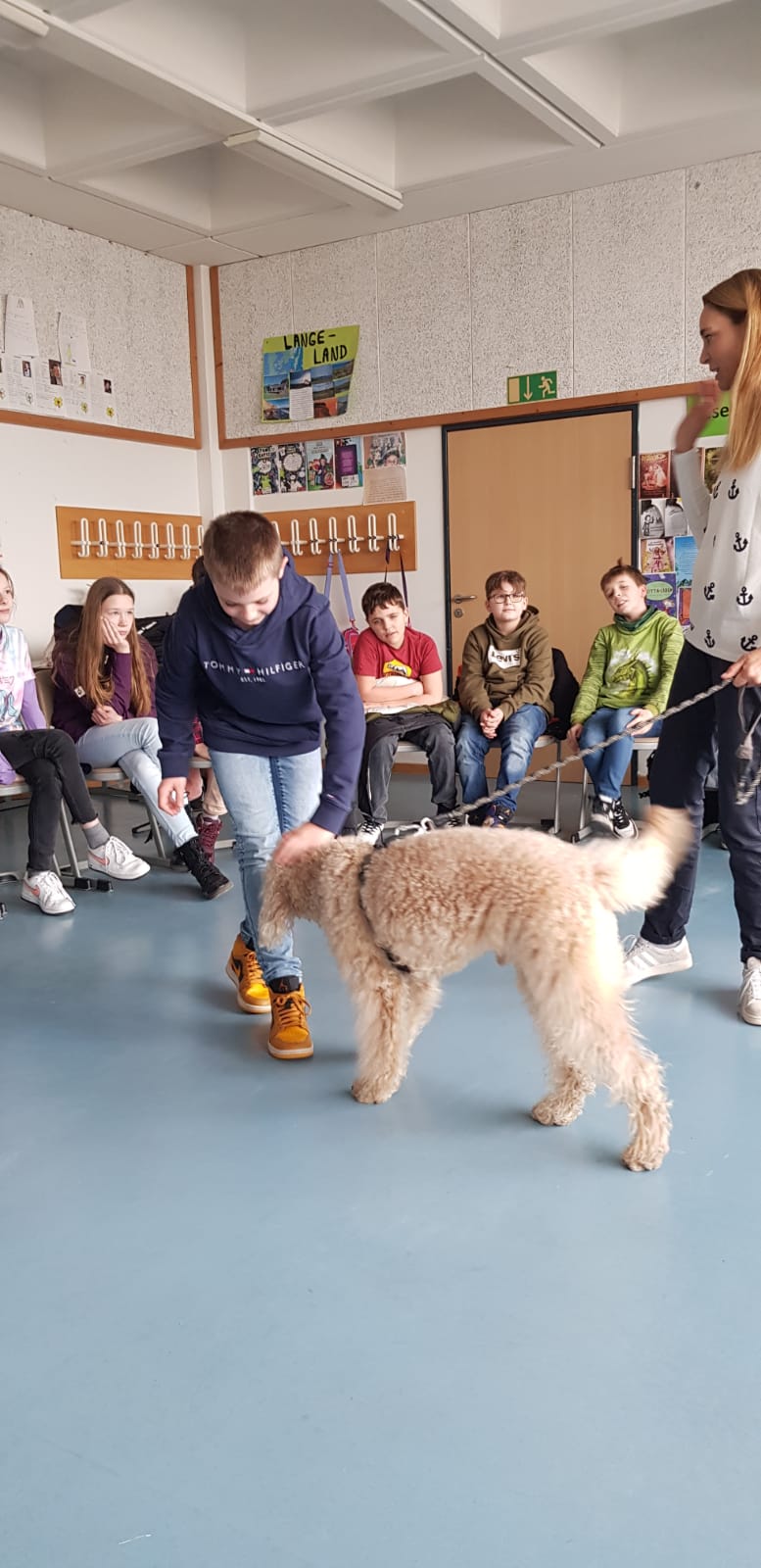 Ein Schulhund zu Besuch im Deutschunterricht der 6c