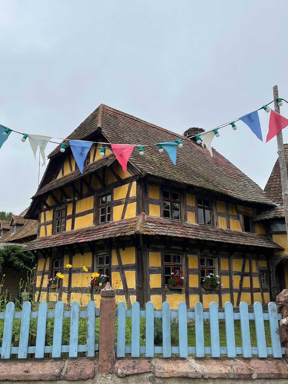 Vive l`Alsace – Die Französischschüler:innen auf Elsassfahrt