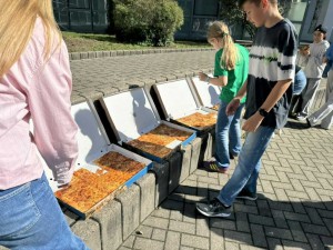 Bild SV Tag 9.2025 b