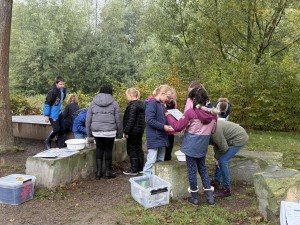 Bild Lippetal 2025.5c 2