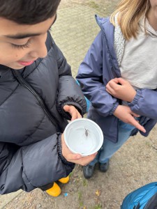 Bild Lippetal 2025.5c 4