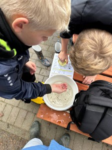 Bild Lippetal 2025.5c 5