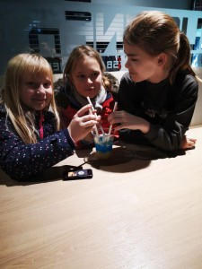 Bild Winterwandertag Eishalle 2025 4