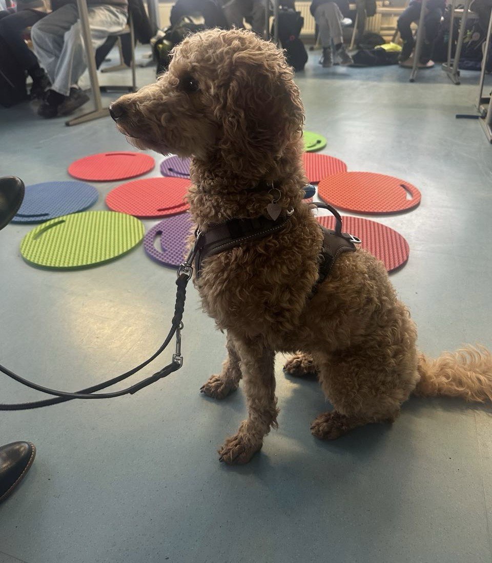 Besonderer Besuch im Deutschunterricht der 5C