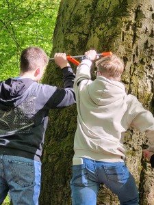 Bild Waldtag Jgstf 9 2026.1