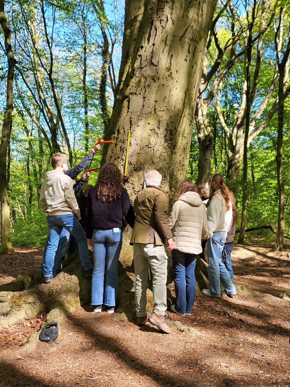 Waldtage der Jahrgangsstufe 9: Lernen im Grünen